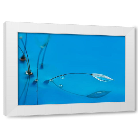 Blue Water White Modern Wood Framed Art Print by Westum, Heidi