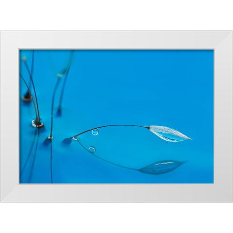 Blue Water White Modern Wood Framed Art Print by Westum, Heidi