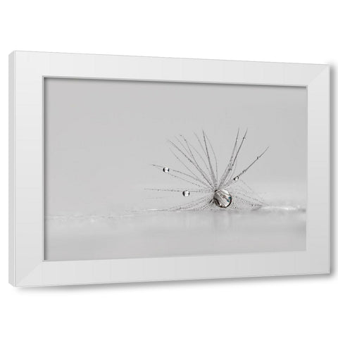 My Silver Spider White Modern Wood Framed Art Print by Westum, Heidi