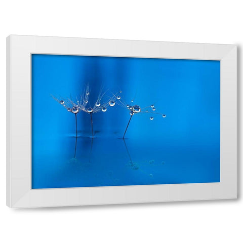 Blue Fun White Modern Wood Framed Art Print by Westum, Heidi