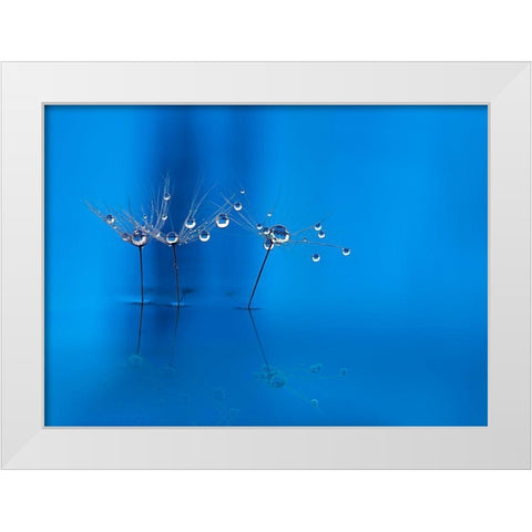 Blue Fun White Modern Wood Framed Art Print by Westum, Heidi