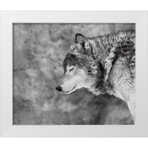 Let It Snow White Modern Wood Framed Art Print by Ivanova, Victoria