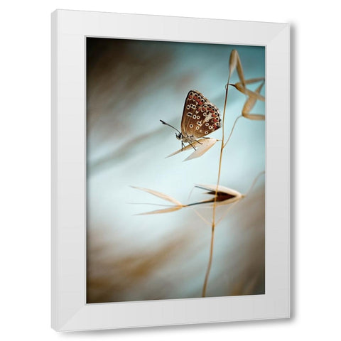 Dream In Blue White Modern Wood Framed Art Print by BRAVIN, Fabien