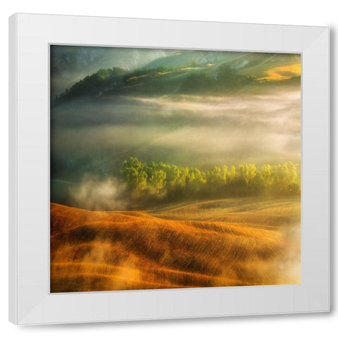 Mist... White Modern Wood Framed Art Print by Browko, Krzysztof