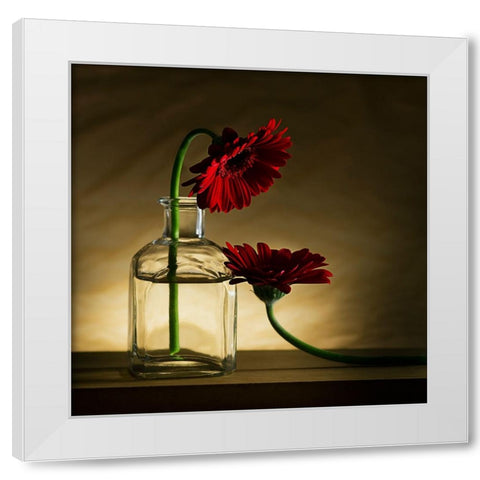 Sorry, Full... White Modern Wood Framed Art Print by De Kogel, Wieteke