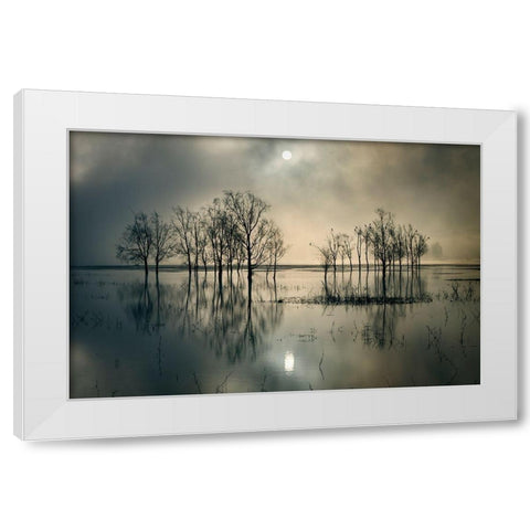Lakes Secret White Modern Wood Framed Art Print by Joanne, Flj