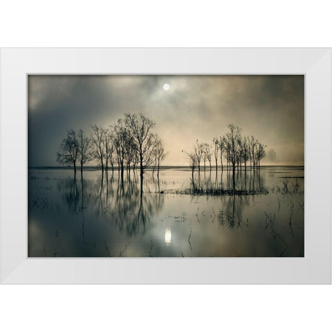 Lakes Secret White Modern Wood Framed Art Print by Joanne, Flj