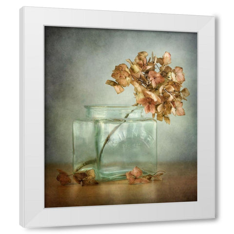 Hydrangea White Modern Wood Framed Art Print by Disher, Mandy