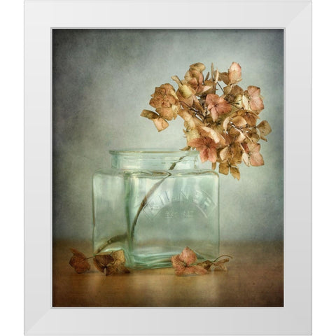 Hydrangea White Modern Wood Framed Art Print by Disher, Mandy