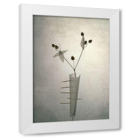 *** White Modern Wood Framed Art Print by Lazarov, Dimitar