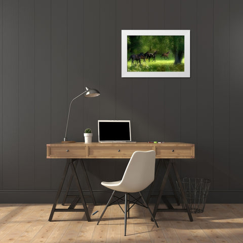 Running Horses White Modern Wood Framed Art Print by Wallberg, Allan