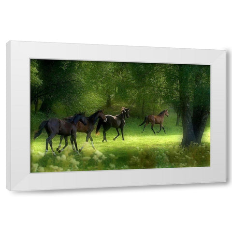 Running Horses White Modern Wood Framed Art Print by Wallberg, Allan