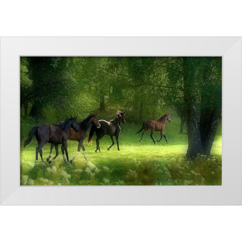 Running Horses White Modern Wood Framed Art Print by Wallberg, Allan