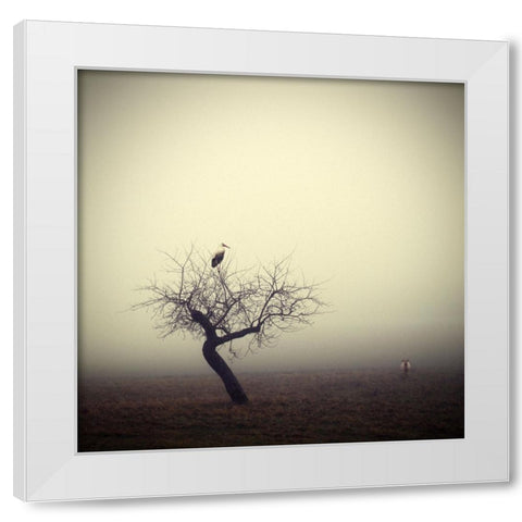 Meeting In The Morning White Modern Wood Framed Art Print by Droste, Holger