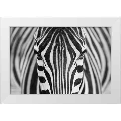 Zepra White Modern Wood Framed Art Print by Alhumaid, Hesham