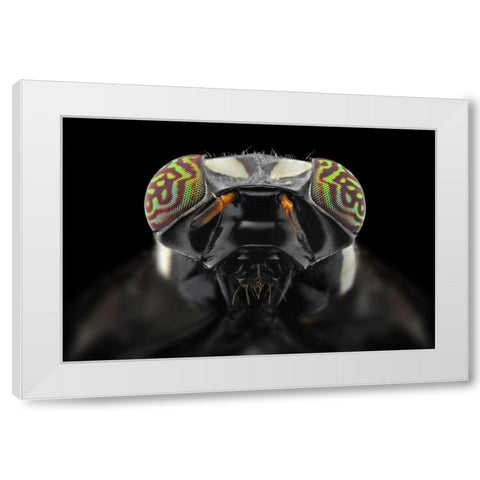The Darth Vader White Modern Wood Framed Art Print by Jusa, Donald