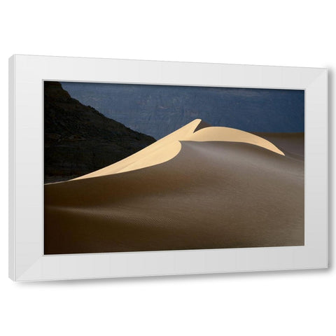 Sandy Bird White Modern Wood Framed Art Print by Dubikovskiy, Dmitry