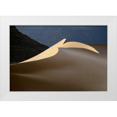 Sandy Bird White Modern Wood Framed Art Print by Dubikovskiy, Dmitry