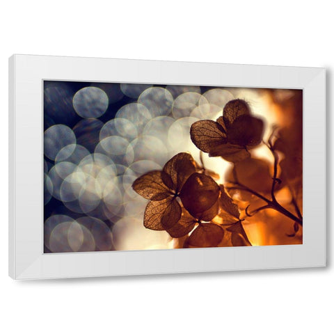 .:.:.** White Modern Wood Framed Art Print by Lazarov, Dimitar