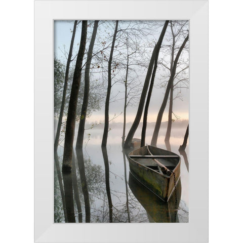 Serene Dawn White Modern Wood Framed Art Print by David, Rui