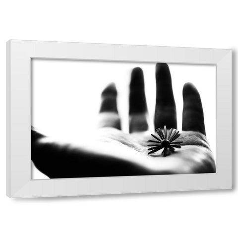 One Life White Modern Wood Framed Art Print by Ikeda, Keisuke