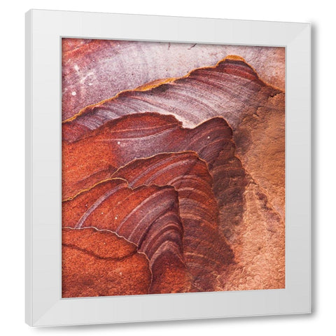 Solar Systems White Modern Wood Framed Art Print by Wrobel, Karsten