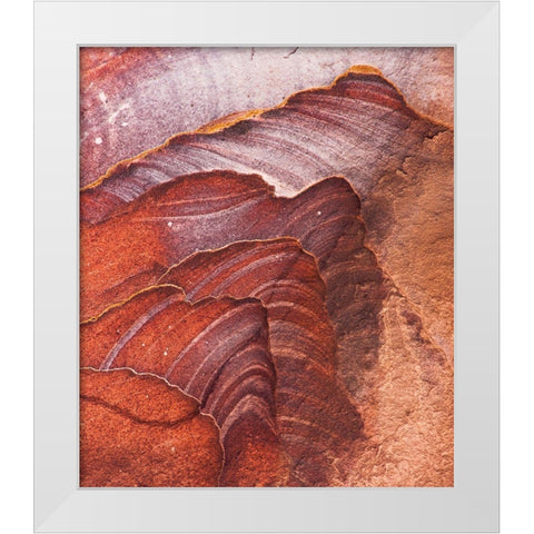 Solar Systems White Modern Wood Framed Art Print by Wrobel, Karsten