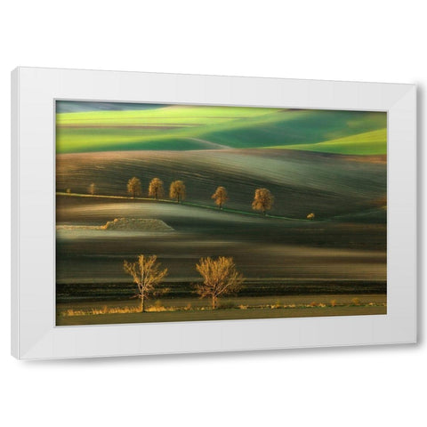 Ten... White Modern Wood Framed Art Print by Browko, Krzysztof