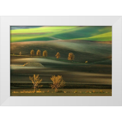 Ten... White Modern Wood Framed Art Print by Browko, Krzysztof