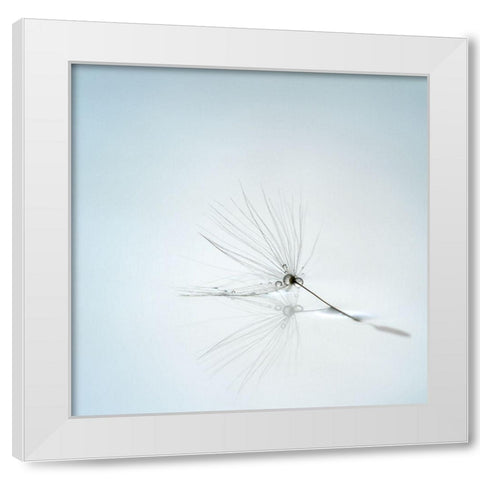 Drops And Stem White Modern Wood Framed Art Print by Irthum, Mathieu