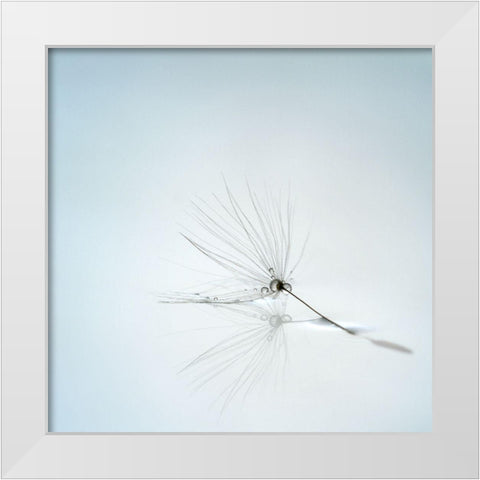 Drops And Stem White Modern Wood Framed Art Print by Irthum, Mathieu