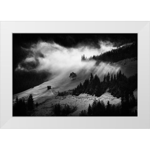 Morning Fog White Modern Wood Framed Art Print by Bogdan, Marchevca