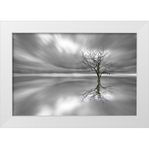 Ghost Tree White Modern Wood Framed Art Print by Londal, Leif
