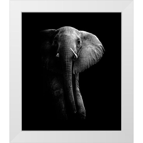 Elephant! White Modern Wood Framed Art Print by Wildphotoart
