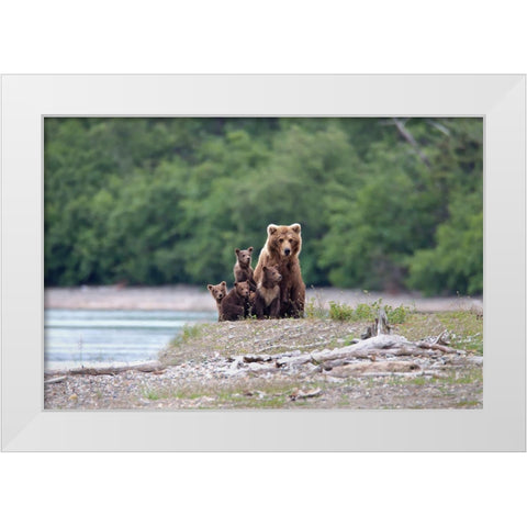 Family Affair. White Modern Wood Framed Art Print by Stahl, Peter