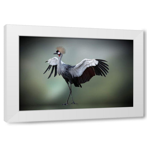 Top Model In The Photos Studio     .... White Modern Wood Framed Art Print by Cseresnjes, Anna