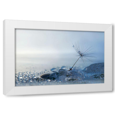 A Blue Morning White Modern Wood Framed Art Print by Westum, Heidi