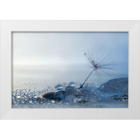 A Blue Morning White Modern Wood Framed Art Print by Westum, Heidi