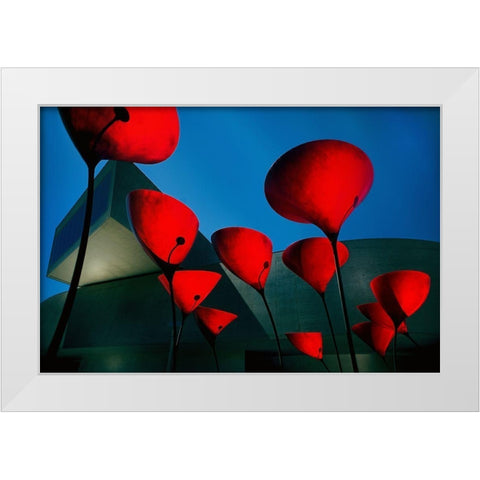 Maxxi  Museum White Modern Wood Framed Art Print by Pellegrini, Fulvio