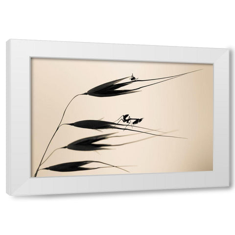 Gone With The Wind White Modern Wood Framed Art Print by Bravin, Fabien