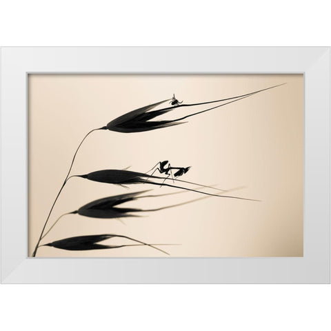 Gone With The Wind White Modern Wood Framed Art Print by Bravin, Fabien