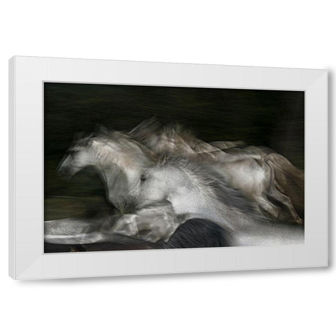 Into The Dark White Modern Wood Framed Art Print by Malovrh, Milan