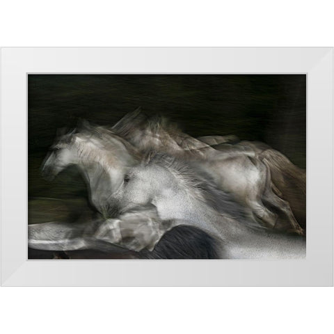 Into The Dark White Modern Wood Framed Art Print by Malovrh, Milan