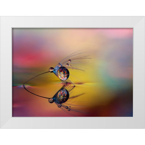 Colorize The Darkness White Modern Wood Framed Art Print by Westum, Heidi
