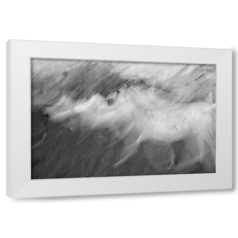Mystic White White Modern Wood Framed Art Print by Malovrh, Milan