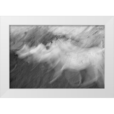 Mystic White White Modern Wood Framed Art Print by Malovrh, Milan