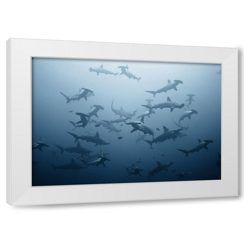 Swarming White Modern Wood Framed Art Print by Safonov, Alexander