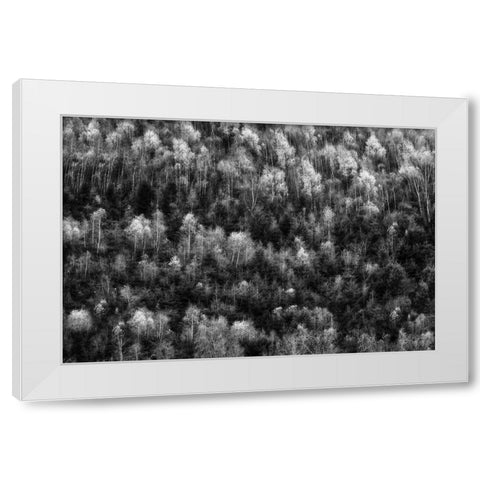 Untitled White Modern Wood Framed Art Print by Ghesquiere, Hilde