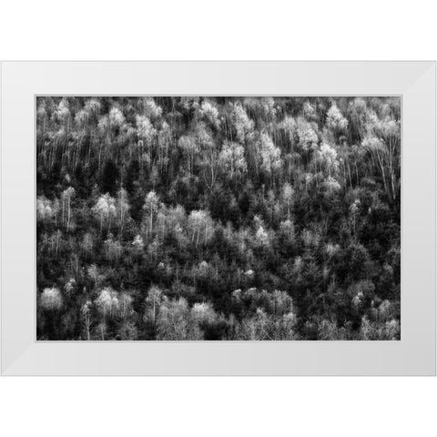 Untitled White Modern Wood Framed Art Print by Ghesquiere, Hilde