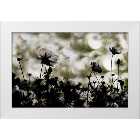 Autumn Chorus White Modern Wood Framed Art Print by Ikeda, Keisuke